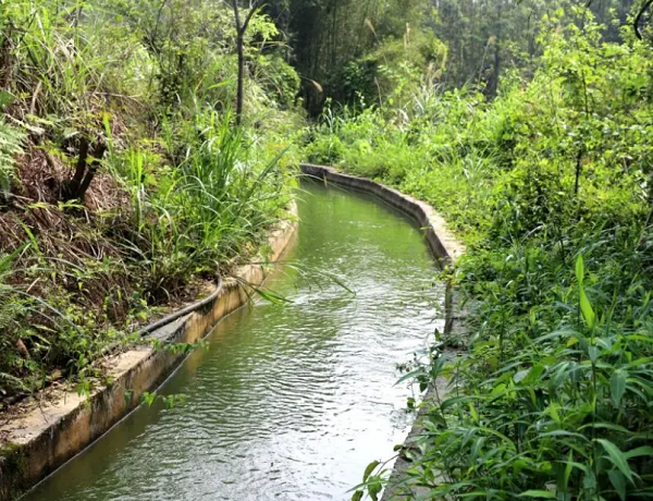 1737015725581230.png 圖片27.png