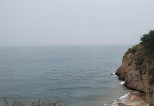 1737097366213351.png 圖片1.png